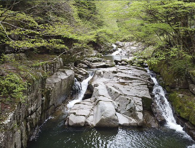 丸畑渓谷・瀬戸の滝（売木村）