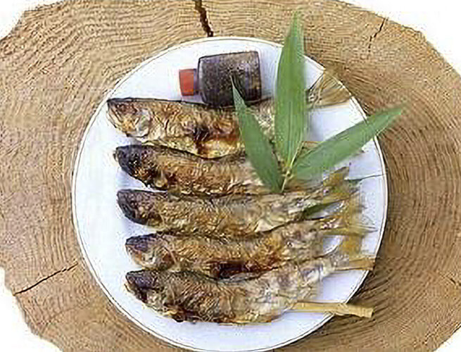 アマゴ（阿南町）