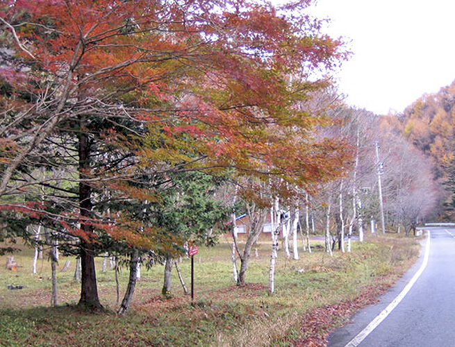 白樺高原キャンプ場（売木村）