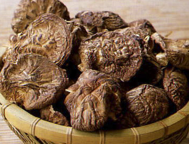 シイタケ(阿南町)