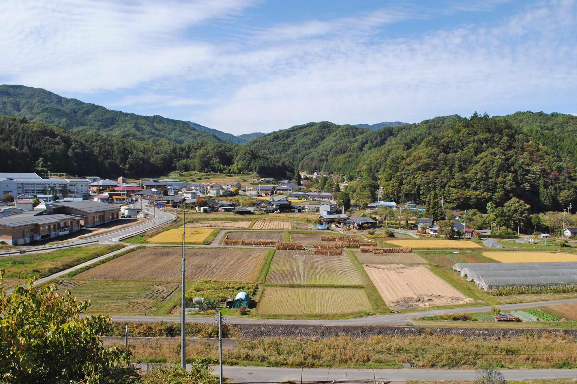 売木村