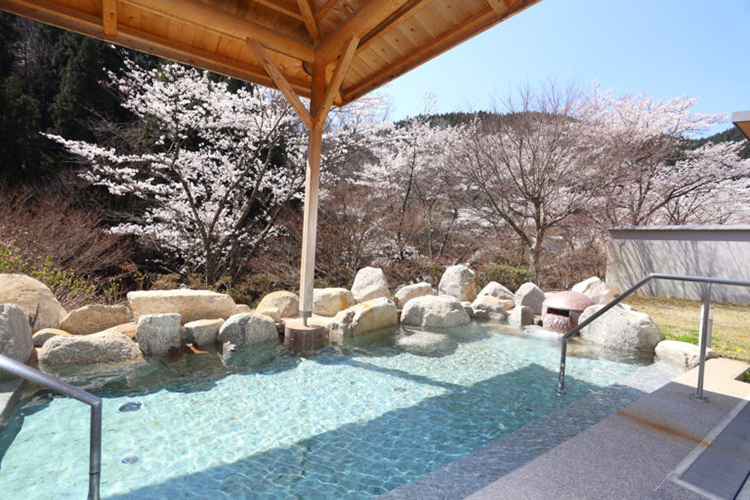 天龍温泉 おきよめの湯 (天龍村)